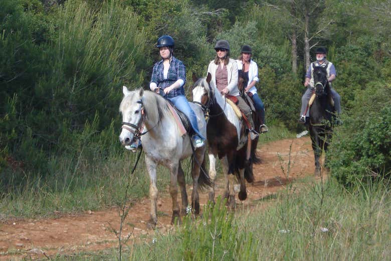 Desfrutando do passeio a cavalo