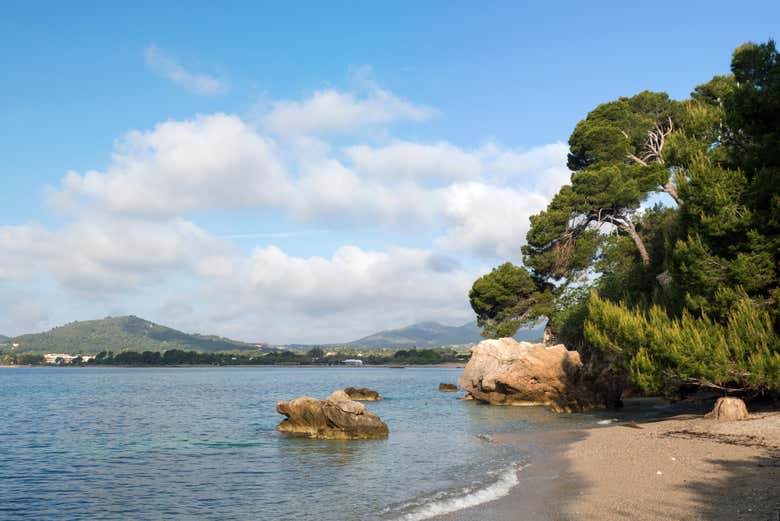 Costa dos Pinheiros
