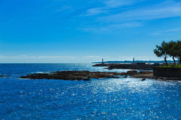 Passeio de catamarã pela costa leste de Mallorca