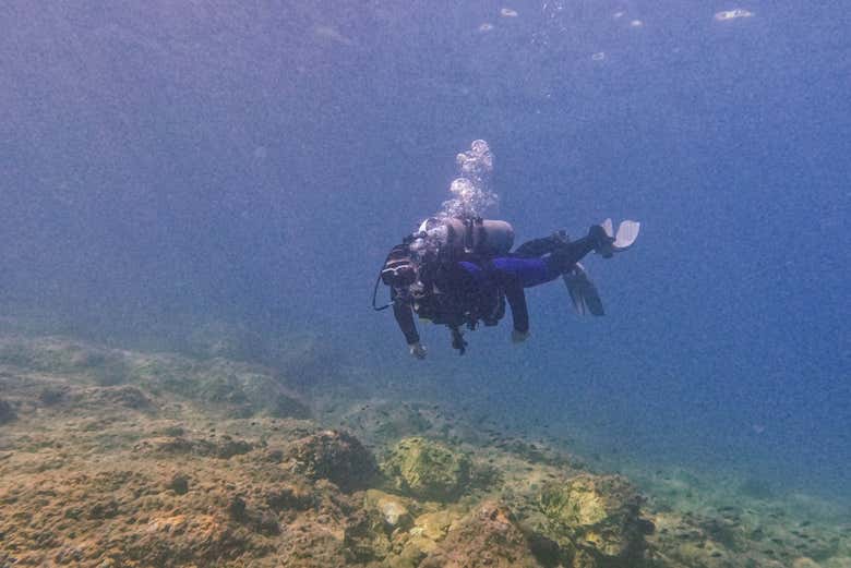 Descobrindo a biodiversidade de Cala Portals Nous
