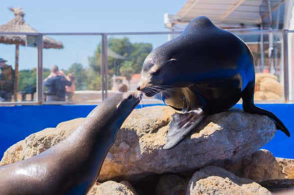 Ingresso do Marineland Mallorca
