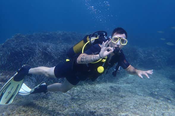 Batismo de mergulho na Reserva Marinha Cala Delta