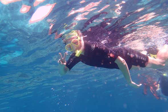 Snorkel na Reserva Marinha Cala Delta