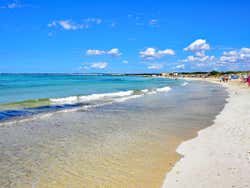 Margem da praia Es Trenc