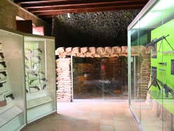Exposições do museu Sant Carles
