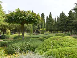 Vegetação dos Jardins de Marivent