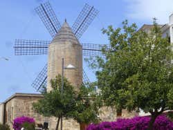 Moinho antigo de Manacor