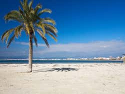 Praia de S'Arenal