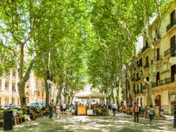 Palma de Maiorca no verão