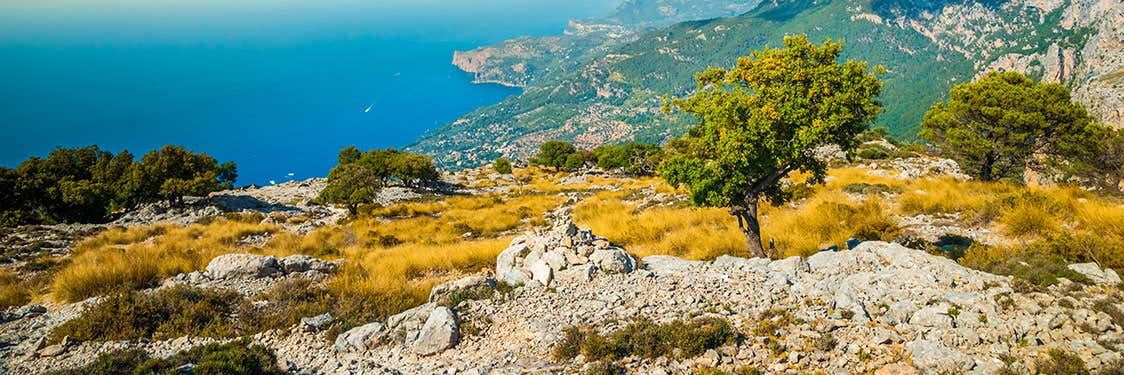 Serra de Tramuntana