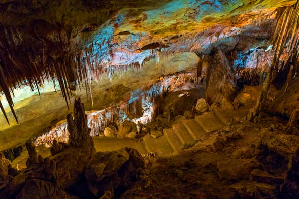Excursão às Cuevas del Drach e dels Hams + Porto Cristo