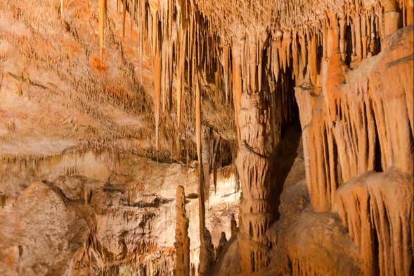Espeleologia marinha na Gruta de Coloms