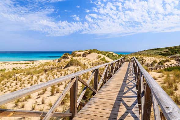 Excursão a Cala Agulla e Cala Moltó