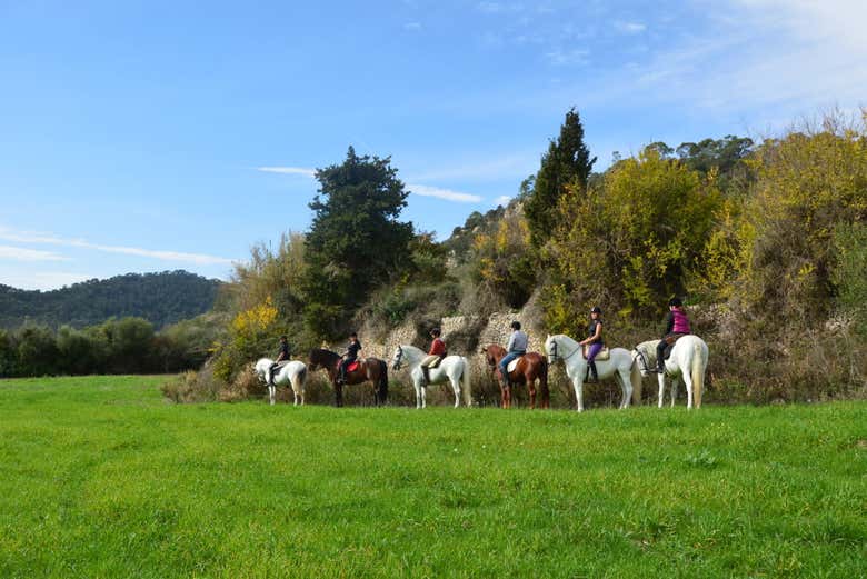 Passeio a cavalo pelos vales de Randa