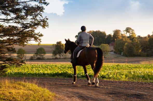Passeio a cavalo por Randa
