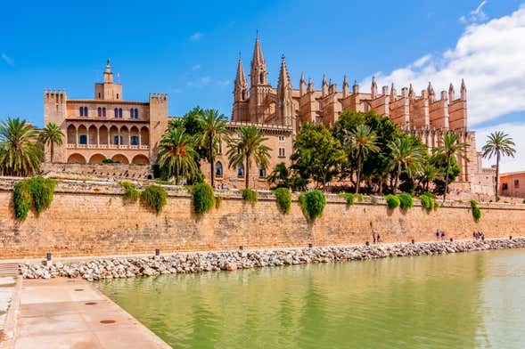 Tour por Palma e sua catedral