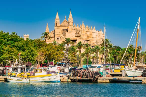 Tour por Palma e sua catedral + Valldemossa