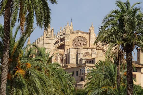 Tour por Palma para cruzeiros